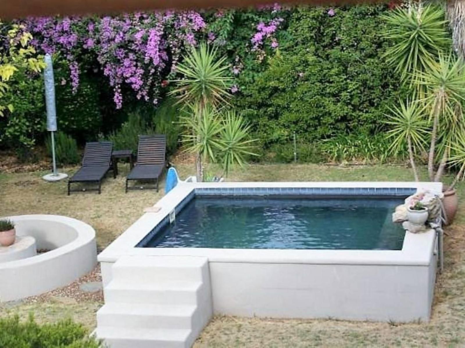 Montq Guesthouse Montagu Western Cape South Africa Garden, Nature, Plant, Swimming Pool