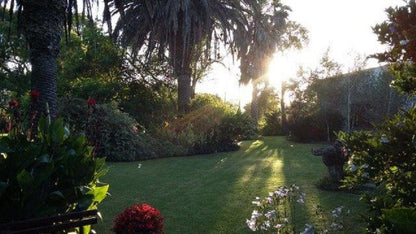 Montrose Cottage Hartenbos Western Cape South Africa Palm Tree, Plant, Nature, Wood, Garden