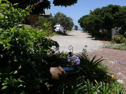 Montrose Guest Apartment Brenton On Sea Knysna Western Cape South Africa House, Building, Architecture, Palm Tree, Plant, Nature, Wood, Garden