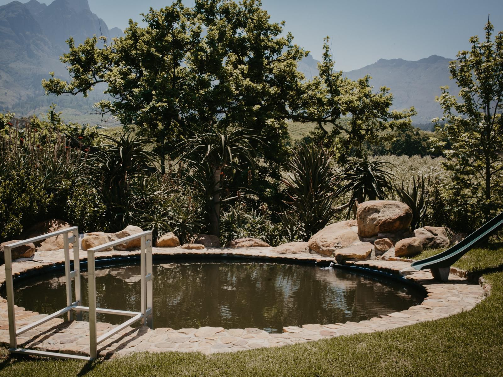 Mont Rouge Self Catering Tulbagh Western Cape South Africa Garden, Nature, Plant, Swimming Pool