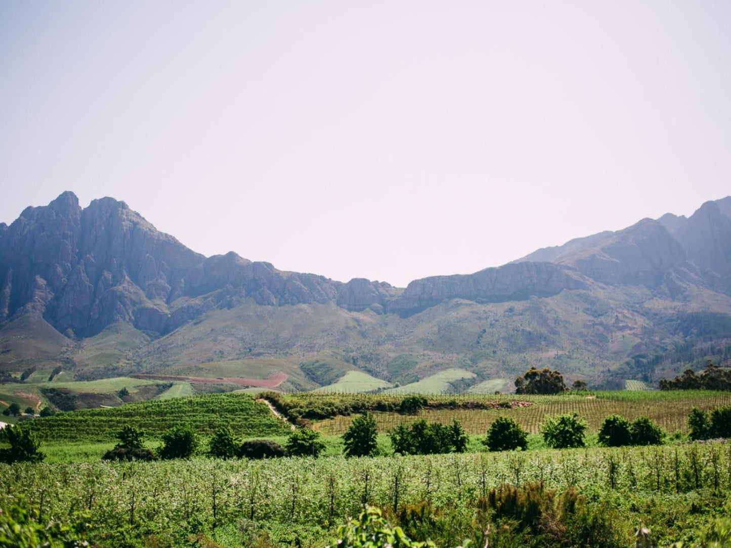 Mont Rouge Self Catering Tulbagh Western Cape South Africa Complementary Colors, Mountain, Nature, Highland