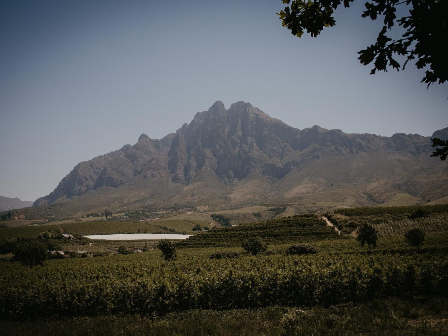 Mont Rouge Self Catering Tulbagh Western Cape South Africa Mountain, Nature