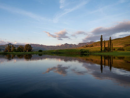 Montusi Mountain Lodge Bergville Kwazulu Natal South Africa Nature