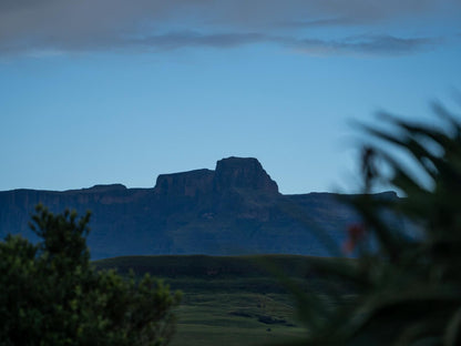 Montusi Mountain Lodge Bergville Kwazulu Natal South Africa Nature