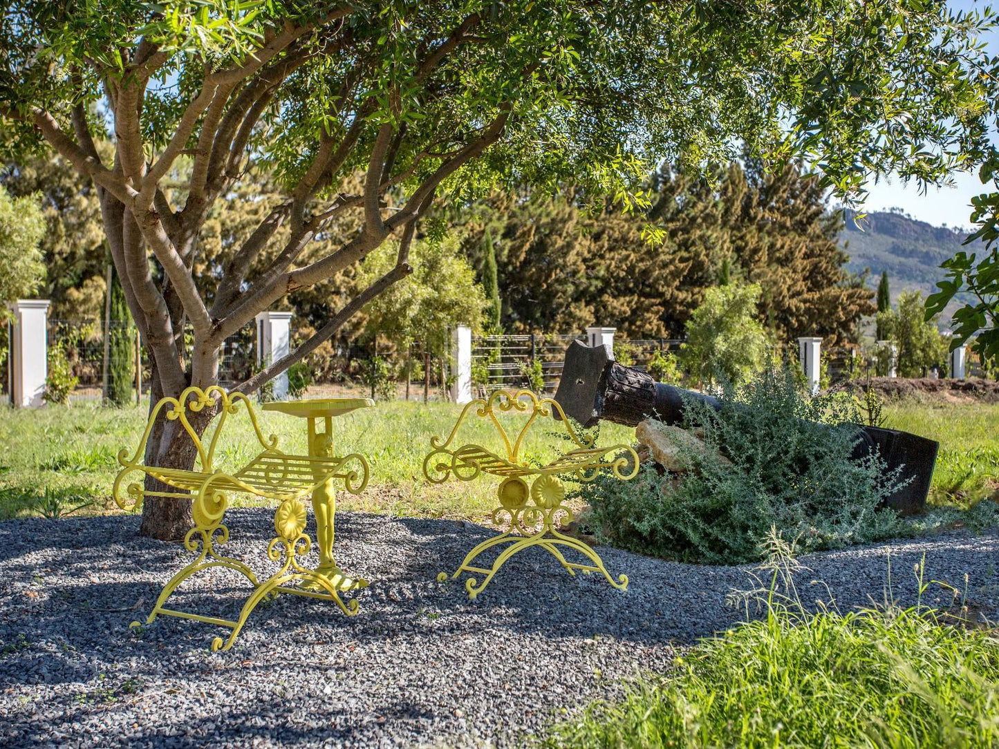 Monument House, Plant, Nature, Garden