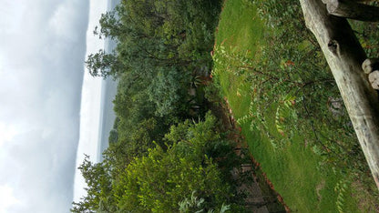 Monyane Lodge Bela Bela Warmbaths Limpopo Province South Africa Tree, Plant, Nature, Wood, Garden