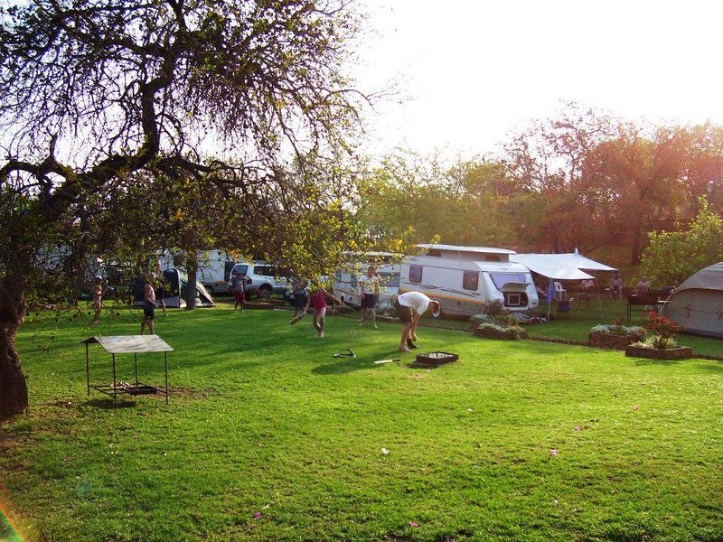 Monyane Lodge Bela Bela Warmbaths Limpopo Province South Africa Tent, Architecture
