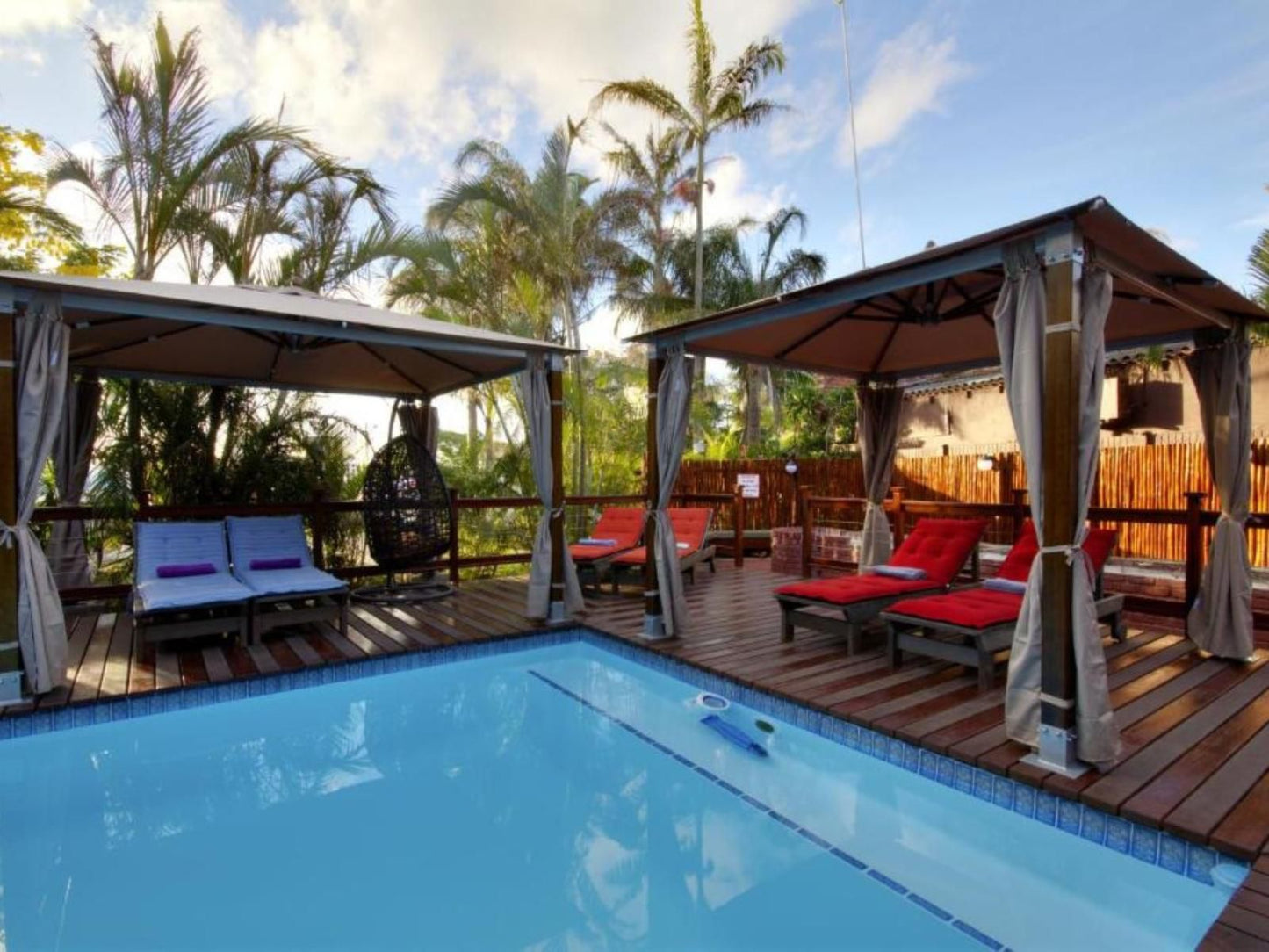 Budget Tented Village Urban Glamping St Lucia Kwazulu Natal South Africa Palm Tree, Plant, Nature, Wood, Swimming Pool