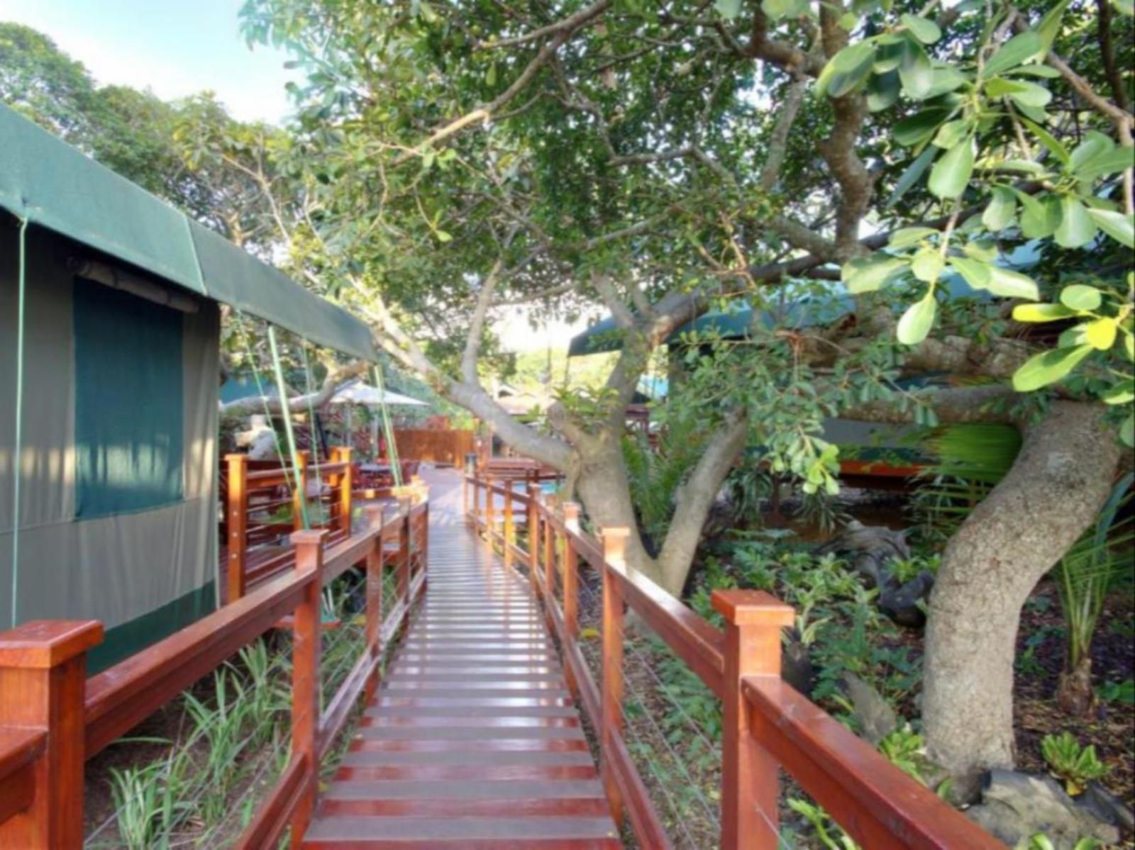 Luxury Tented Village Urban Glamping St Lucia Kwazulu Natal South Africa Garden, Nature, Plant