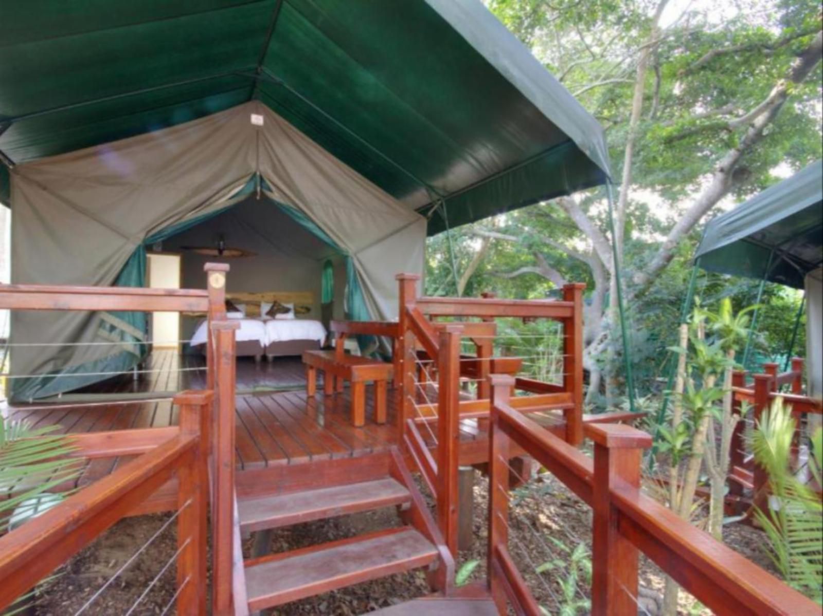 Luxury Tented Village Urban Glamping St Lucia Kwazulu Natal South Africa 