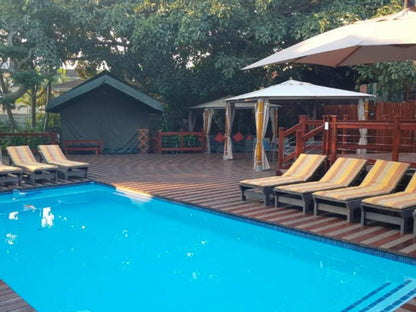 Luxury Tented Village Urban Glamping St Lucia Kwazulu Natal South Africa Swimming Pool