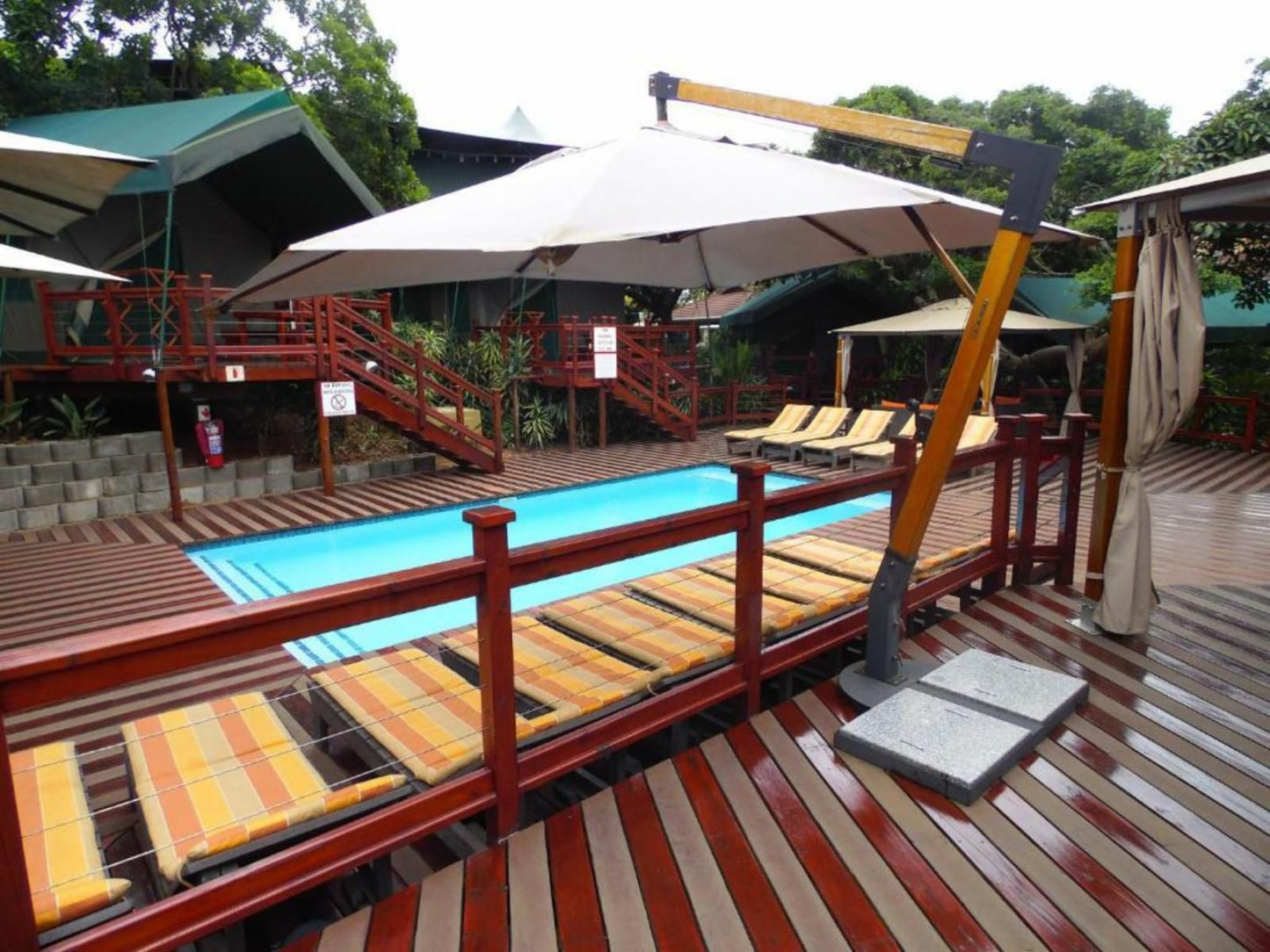 Luxury Tented Village Urban Glamping St Lucia Kwazulu Natal South Africa Swimming Pool