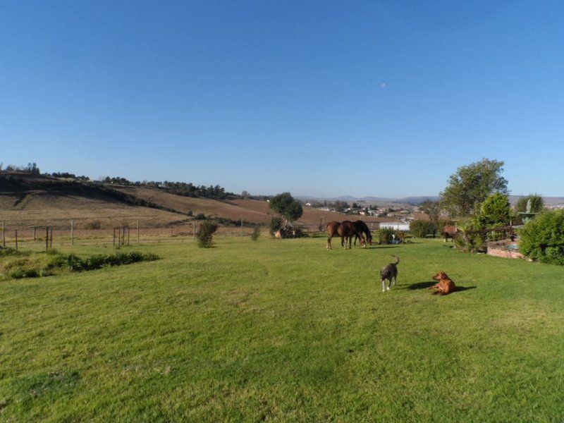 Mooi Backpackers Hidcote Kwazulu Natal South Africa Complementary Colors, Field, Nature, Agriculture, Lowland