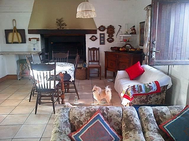 Mooinooientjie Struisbaai Western Cape South Africa Dog, Mammal, Animal, Pet, Fireplace, Living Room