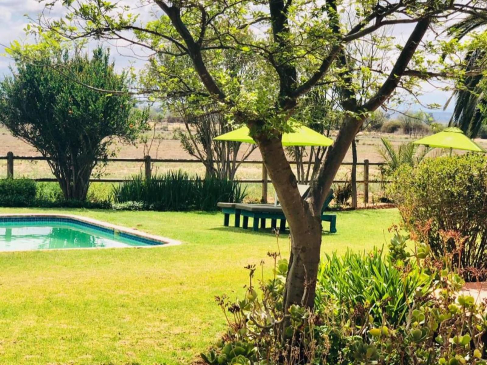 Mooiplaas Guest House Oudtshoorn Western Cape South Africa Garden, Nature, Plant, Swimming Pool