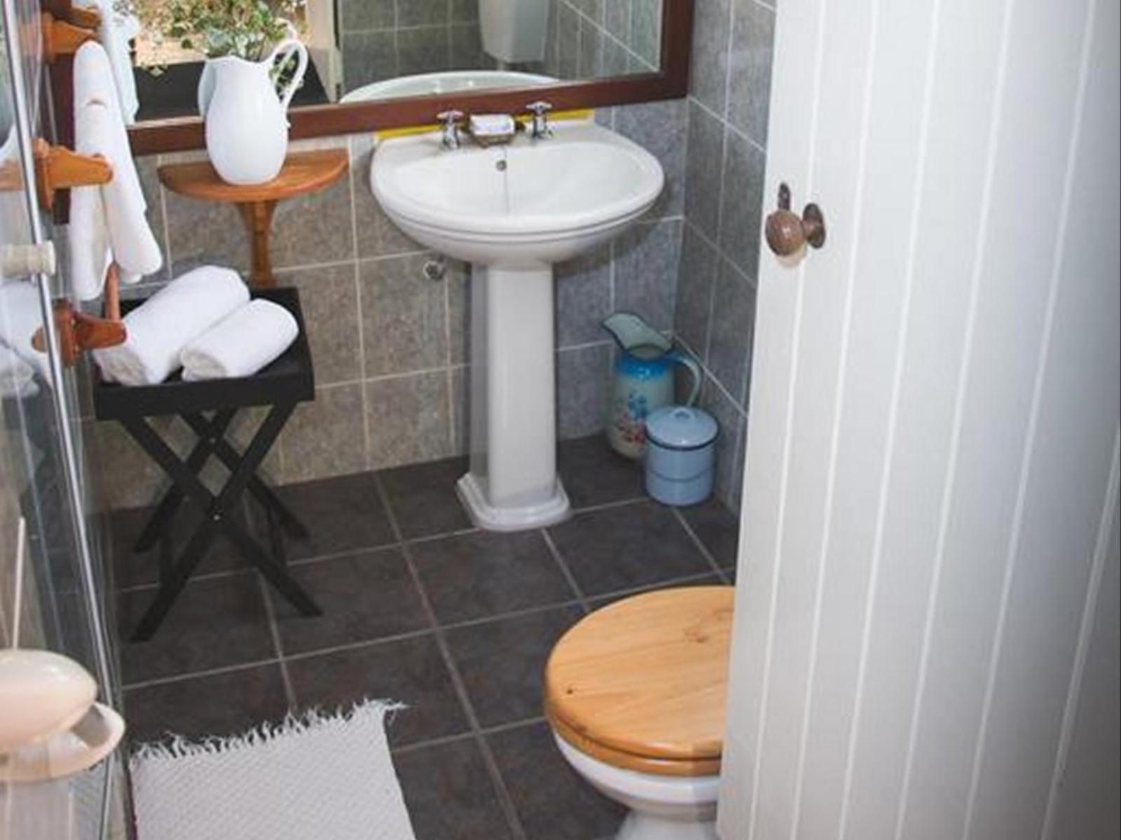 Moolmanshof Bed And Breakfast Swellendam Western Cape South Africa Unsaturated, Bathroom