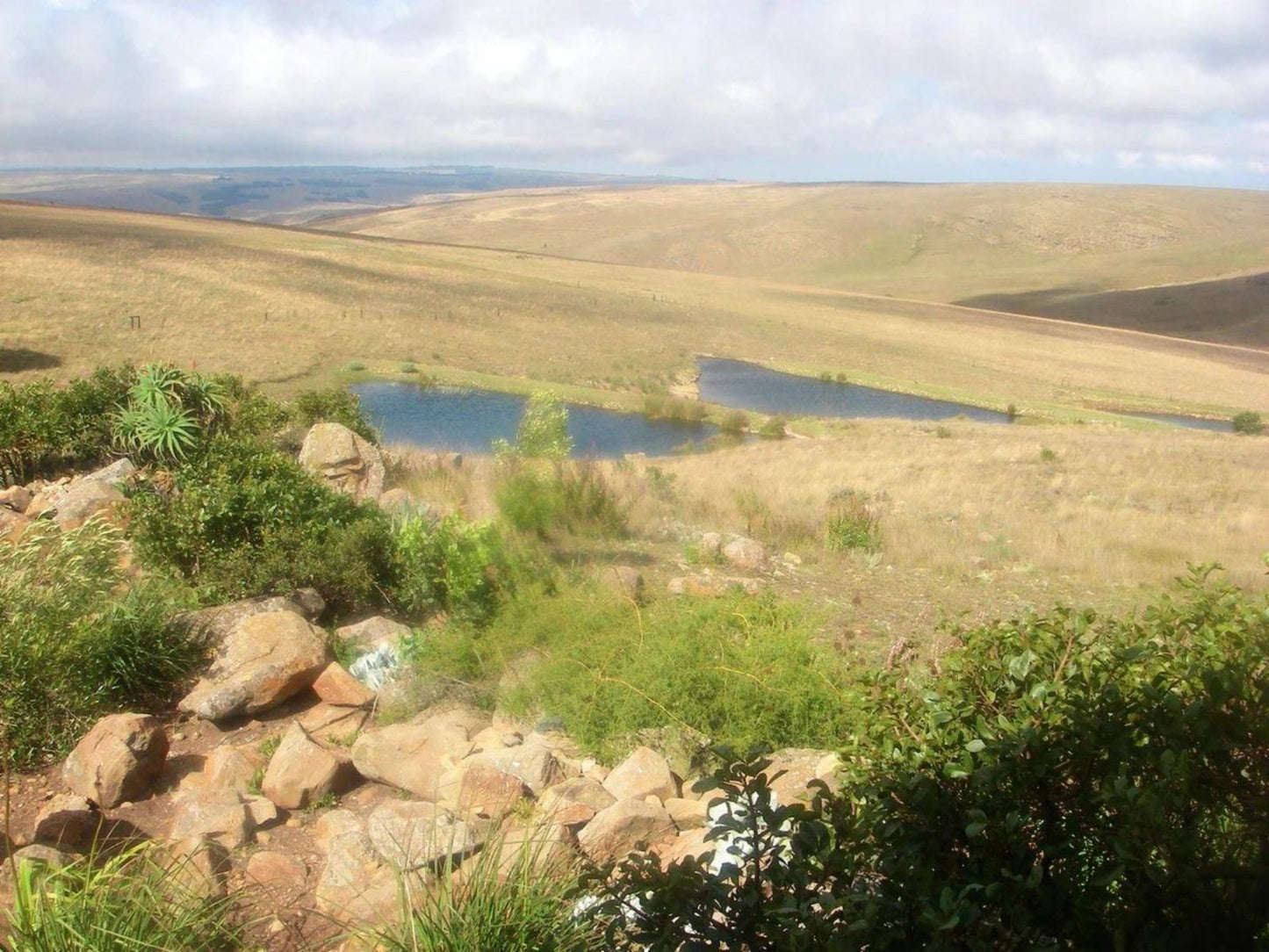 Moonlight Meadows Dullstroom Mpumalanga South Africa Highland, Nature