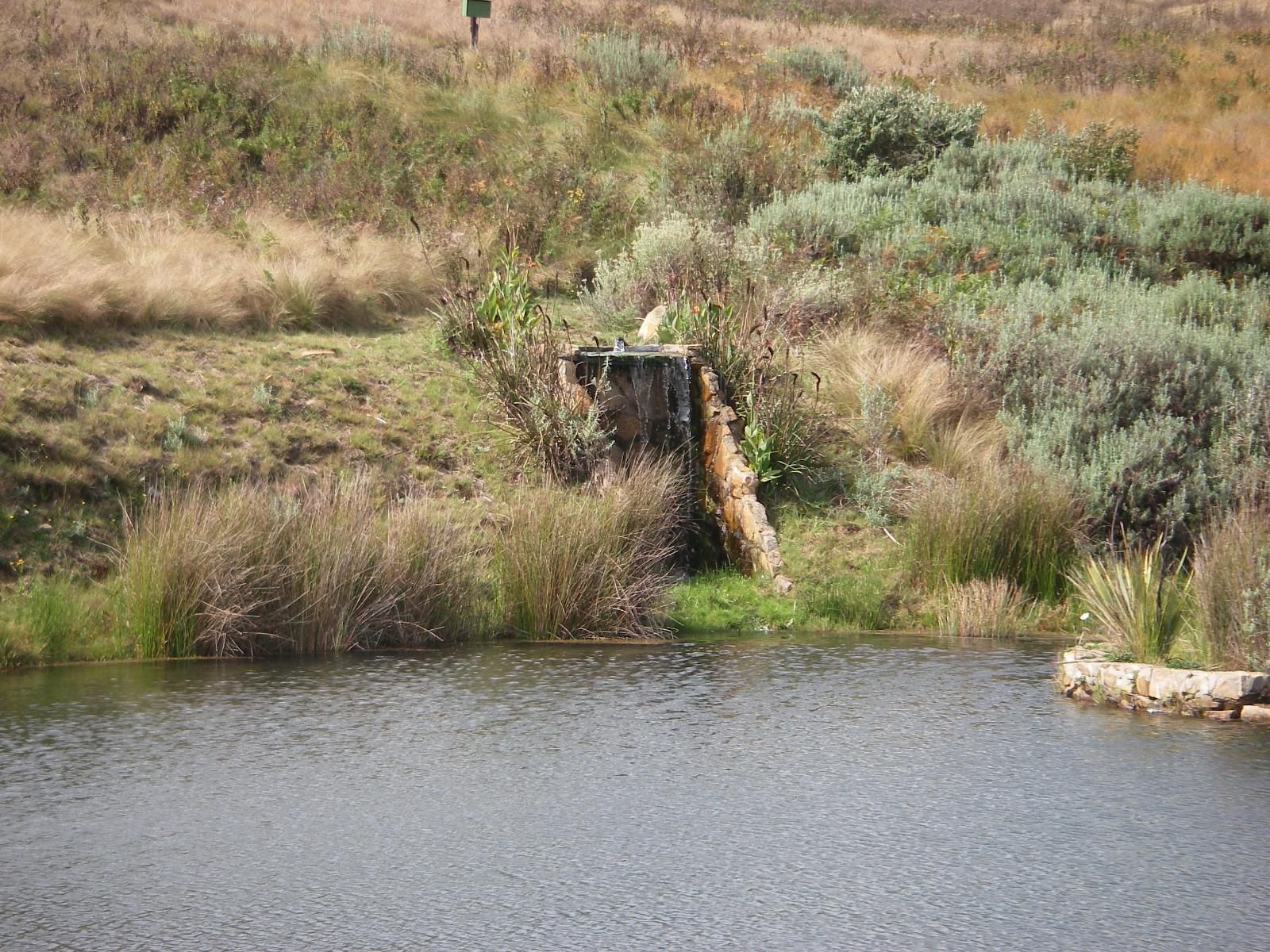 Moonlight Meadows Dullstroom Mpumalanga South Africa River, Nature, Waters