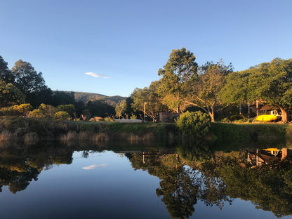 Moonriver Rietvlei Bitou Valley Western Cape South Africa River, Nature, Waters