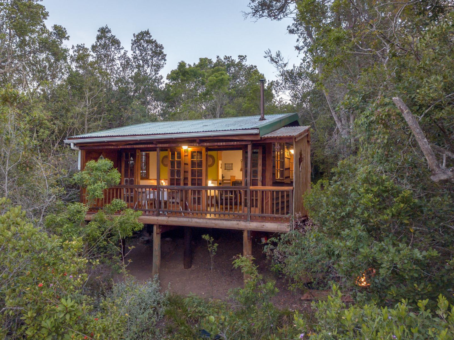 Bushpig Forest Cabin @ Moon Shine On Whiskey Creek