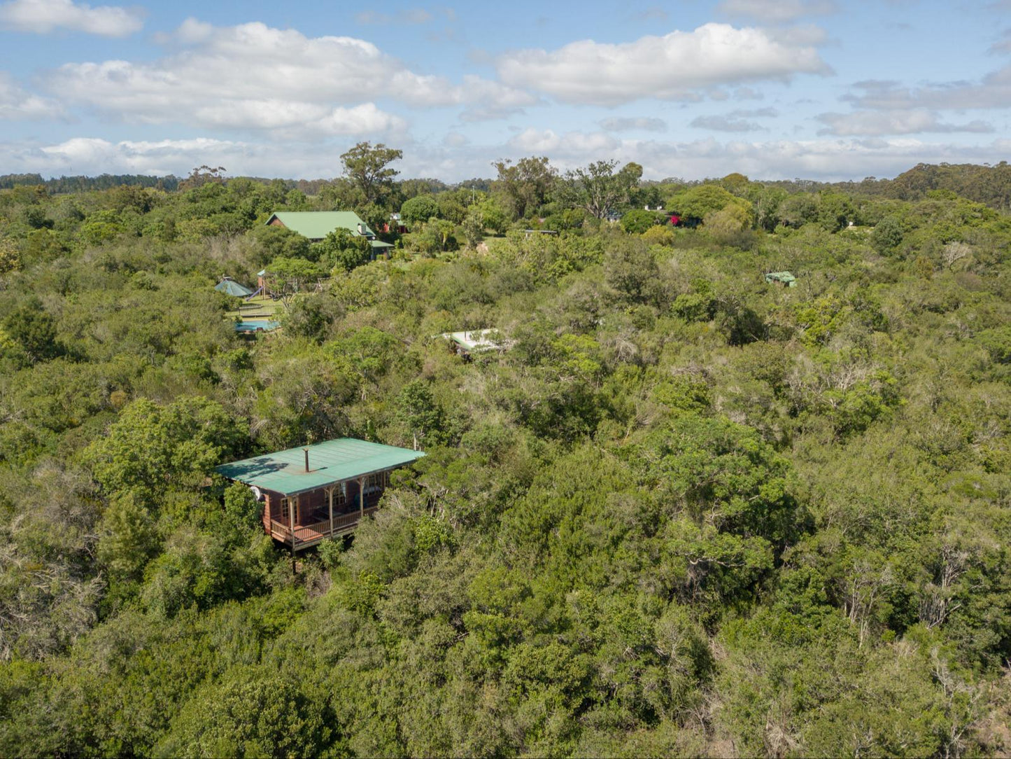 Vervet Forest Cabin @ Moon Shine On Whiskey Creek