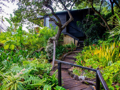 Moontide Guest Lodge Wilderness Western Cape South Africa Plant, Nature, Garden
