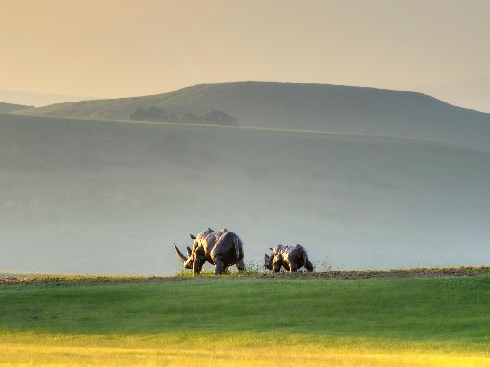 Moorcroft Manor Boutique Country Hotel Himeville Kwazulu Natal South Africa Animal