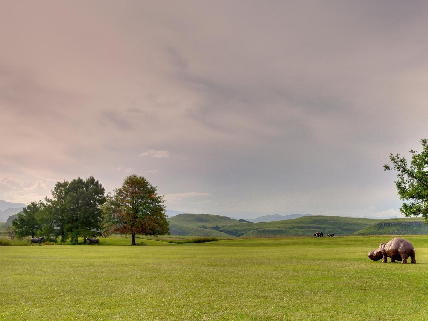 Moorcroft Manor Boutique Country Hotel Himeville Kwazulu Natal South Africa Meadow, Nature