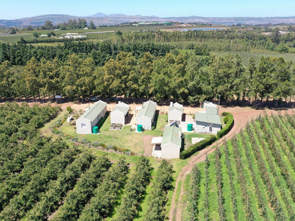 Moortop Cottages Elgin Western Cape South Africa Field, Nature, Agriculture, Aerial Photography
