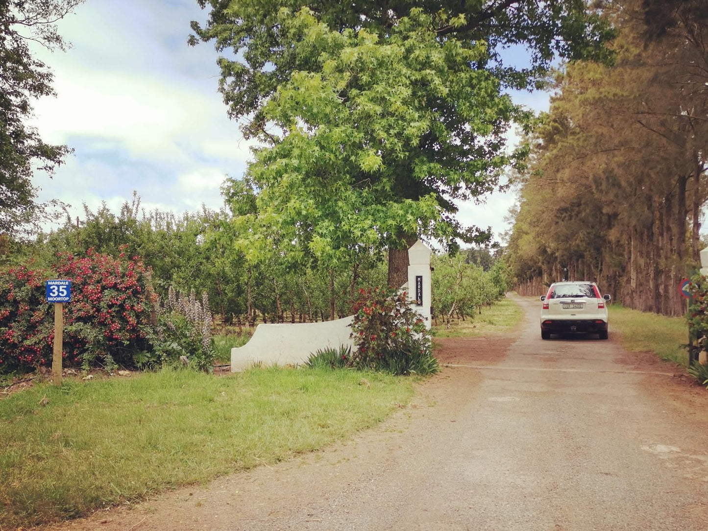 Moortop Cottages Elgin Western Cape South Africa Plant, Nature, Street