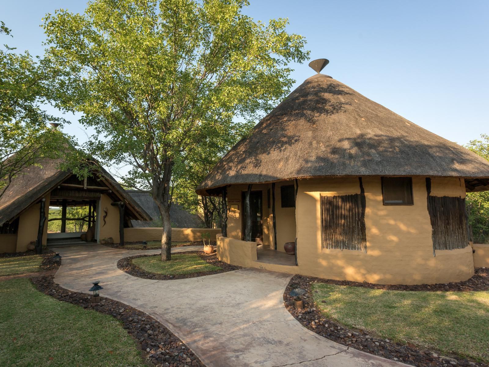 Mopane Bush Lodge Mapungubwe Region Limpopo Province South Africa 