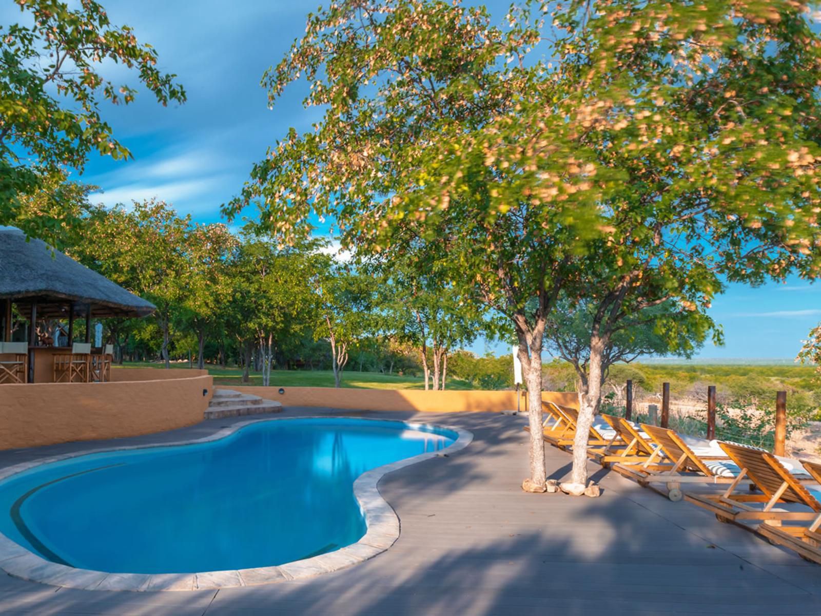 Mopane Bush Lodge Mapungubwe Region Limpopo Province South Africa Complementary Colors, Swimming Pool