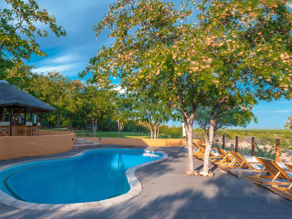 Mopane Bush Lodge Mapungubwe Region Limpopo Province South Africa Complementary Colors, Swimming Pool