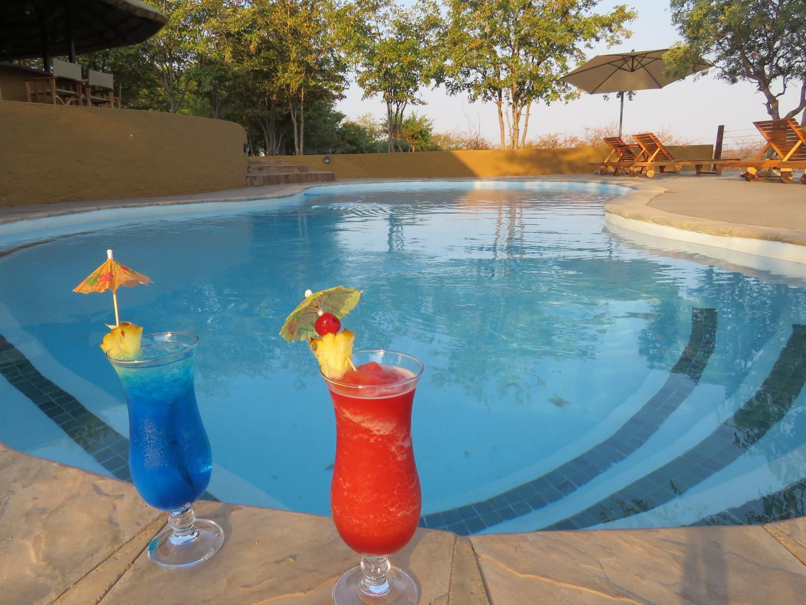 Mopane Bush Lodge Mapungubwe Region Limpopo Province South Africa Complementary Colors, Drink, Food, Swimming Pool
