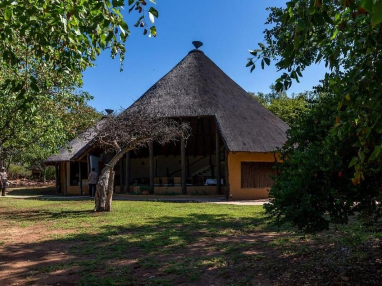 Mopane Bush Lodge Mapungubwe Region Limpopo Province South Africa 