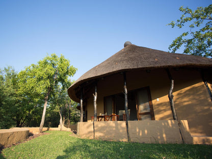 Mopane Bush Lodge Mapungubwe Region Limpopo Province South Africa Complementary Colors