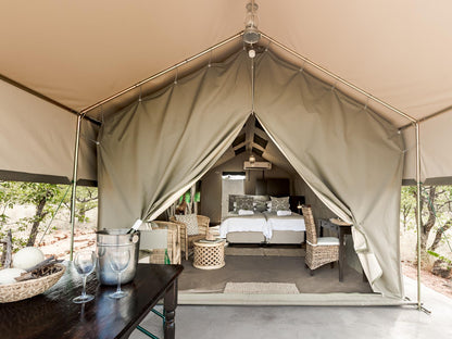 Wilderness Tents @ Mopane Bush Lodge