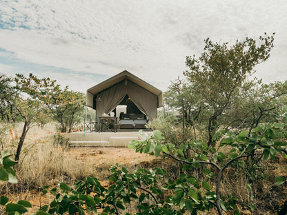 Wilderness Tents @ Mopane Bush Lodge