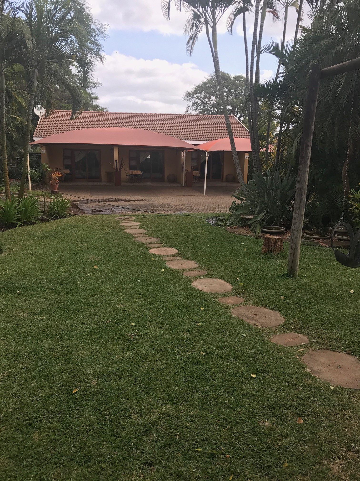 Mopani Guest House Giyani Limpopo Province South Africa Palm Tree, Plant, Nature, Wood