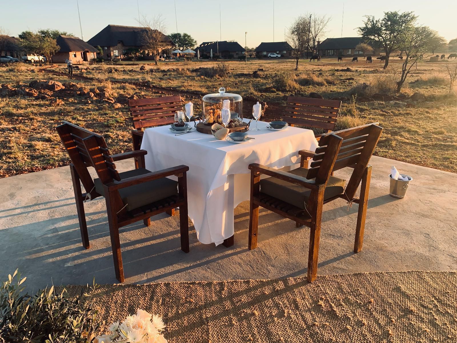 Morakane Safari Lodge Vryburg North West Province South Africa Place Cover, Food