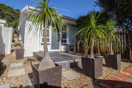Moramba Self Catering Walmer Port Elizabeth Eastern Cape South Africa House, Building, Architecture, Palm Tree, Plant, Nature, Wood