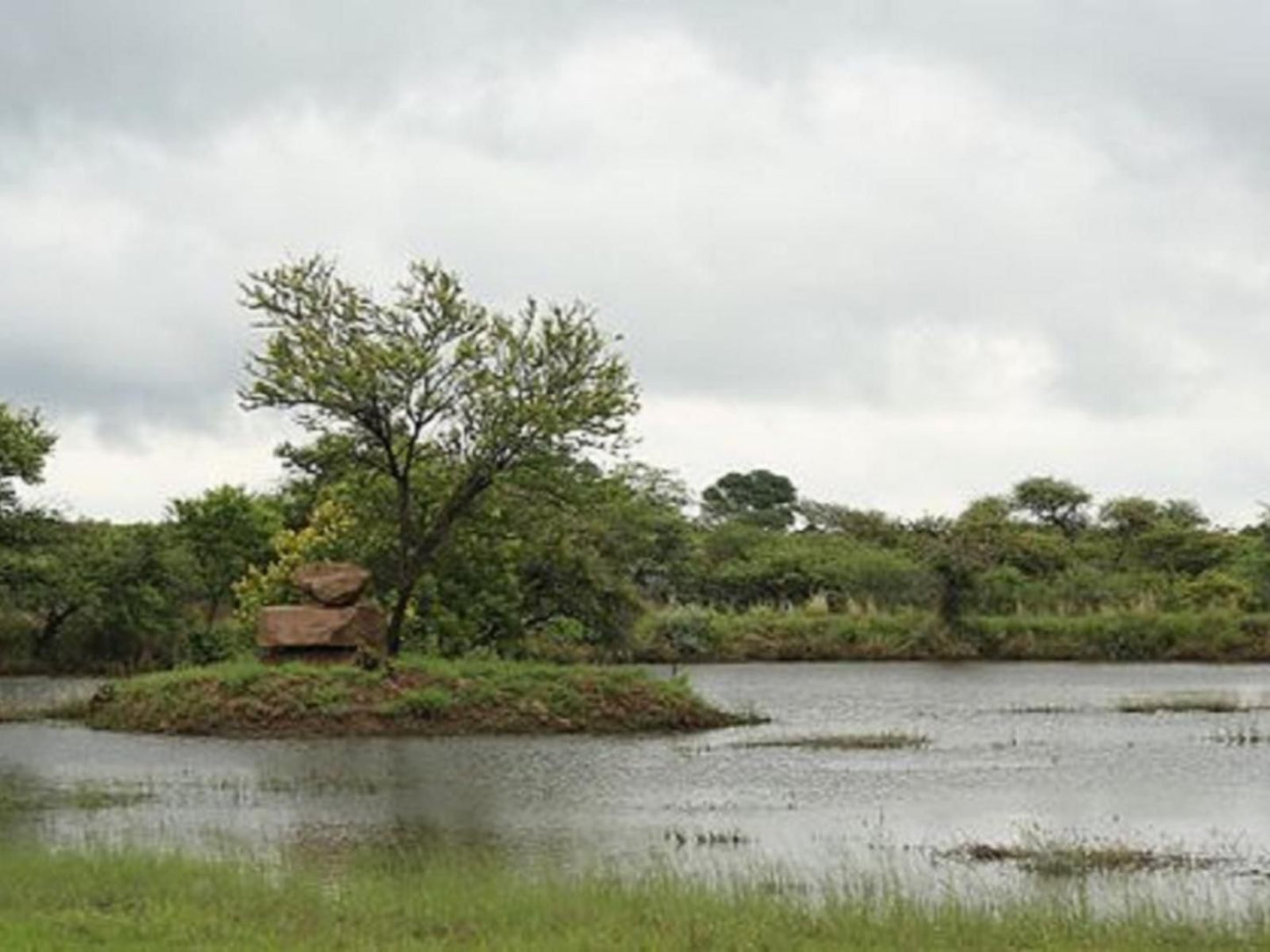 Morekuri Safaris Hammanskraal Gauteng South Africa River, Nature, Waters, Tree, Plant, Wood