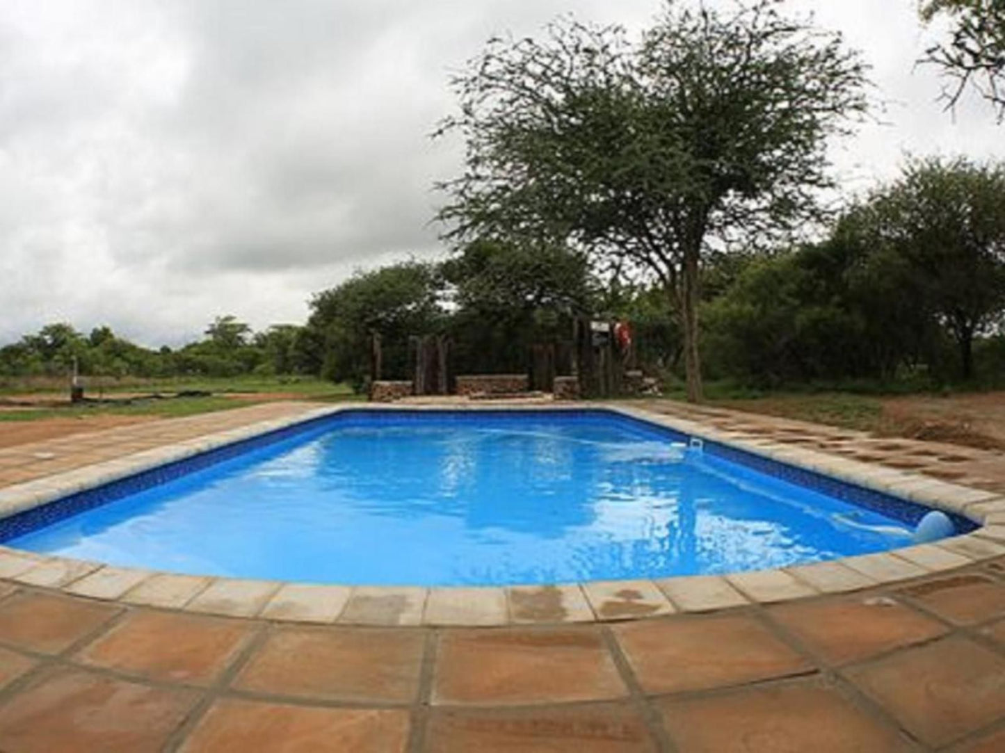 Morekuri Safaris Hammanskraal Gauteng South Africa Complementary Colors, Swimming Pool