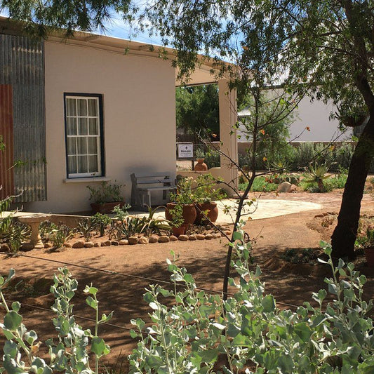 Morester Self Catering Guest House Vosburg Northern Cape South Africa House, Building, Architecture, Palm Tree, Plant, Nature, Wood, Garden