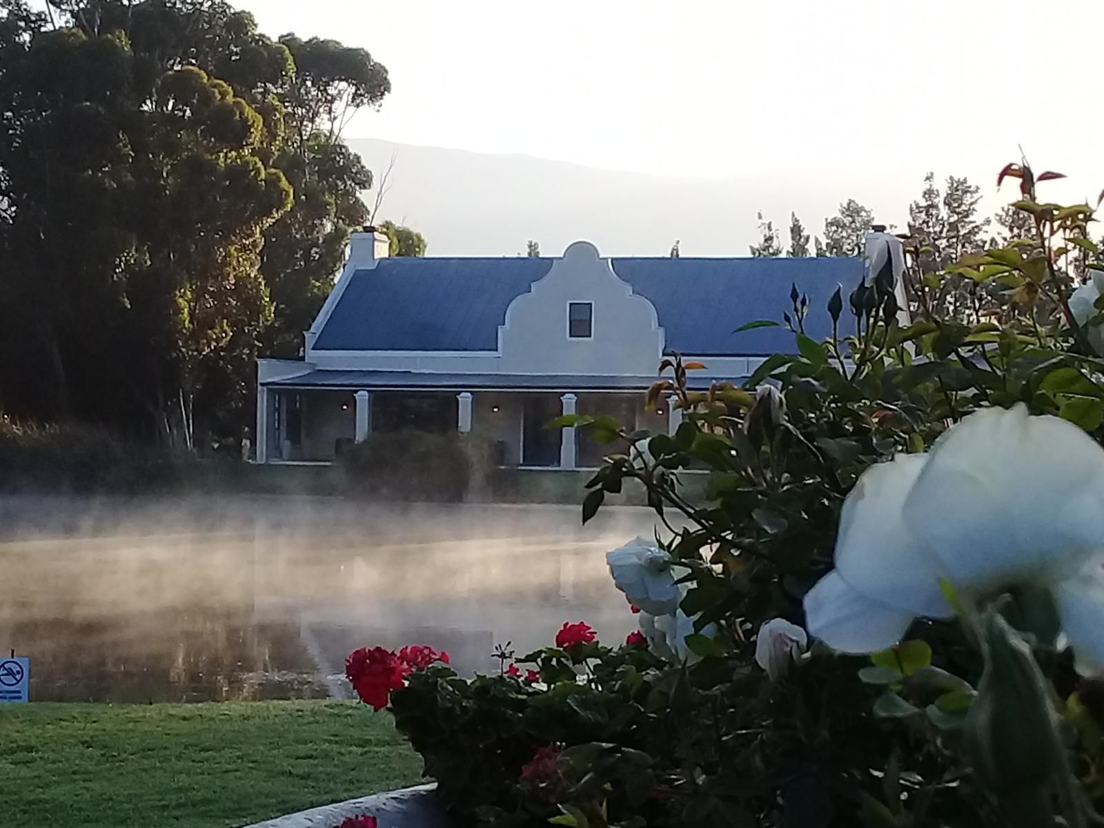 Morgansvlei Country Estate Tulbagh Western Cape South Africa House, Building, Architecture, Garden, Nature, Plant