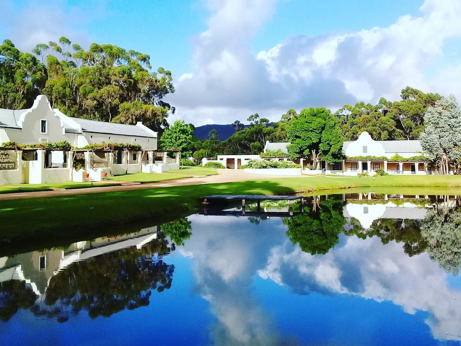 Morgansvlei Country Estate Tulbagh Western Cape South Africa Complementary Colors, Palm Tree, Plant, Nature, Wood, Golfing, Ball Game, Sport