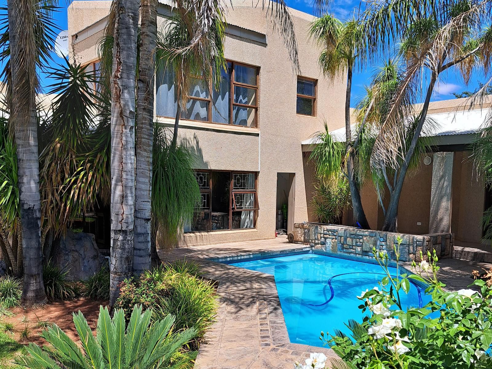 Morgenbos Guesthouse, Palm Tree, Plant, Nature, Wood, Swimming Pool