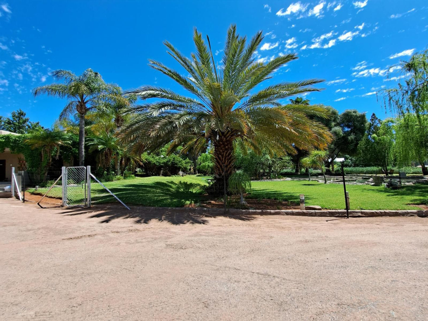 Morgenbos Guesthouse, Palm Tree, Plant, Nature, Wood