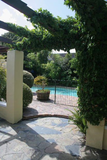 Morning Star Cottage Constantia Cape Town Western Cape South Africa Garden, Nature, Plant, Swimming Pool