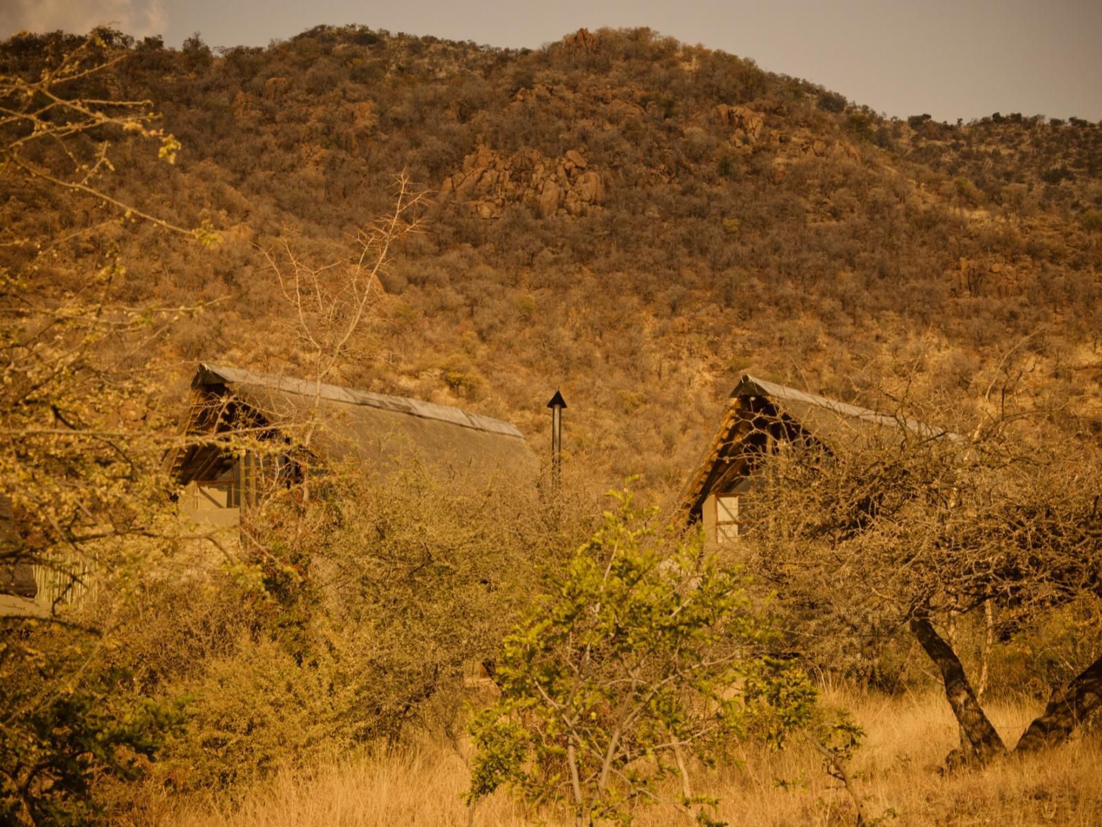 Morokolo Safari Lodge Pilanesberg Game Reserve North West Province South Africa Sepia Tones, Bridge, Architecture, Ruin